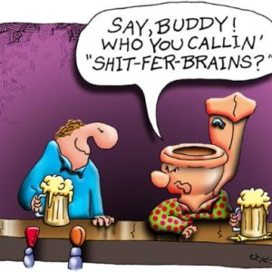 Shit Fer Brains