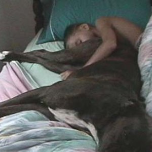 Sleeping With The Animal