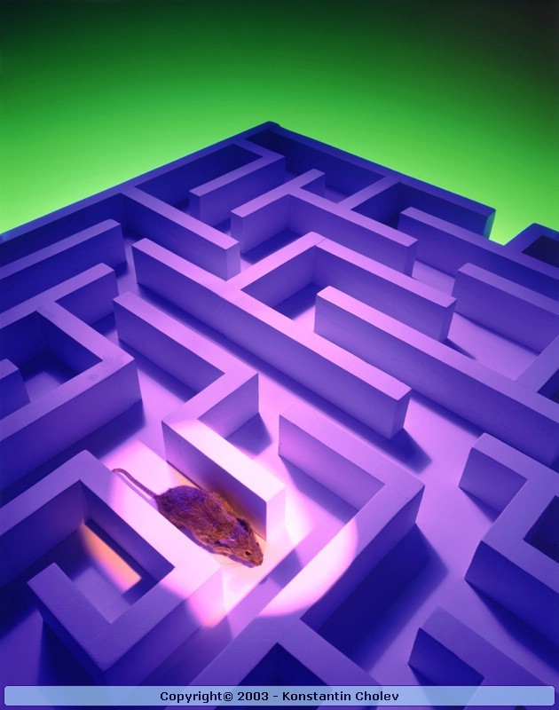 3d Art 14