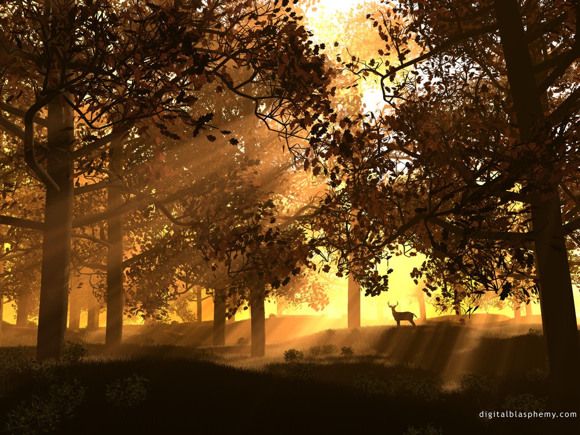 3d Art 71