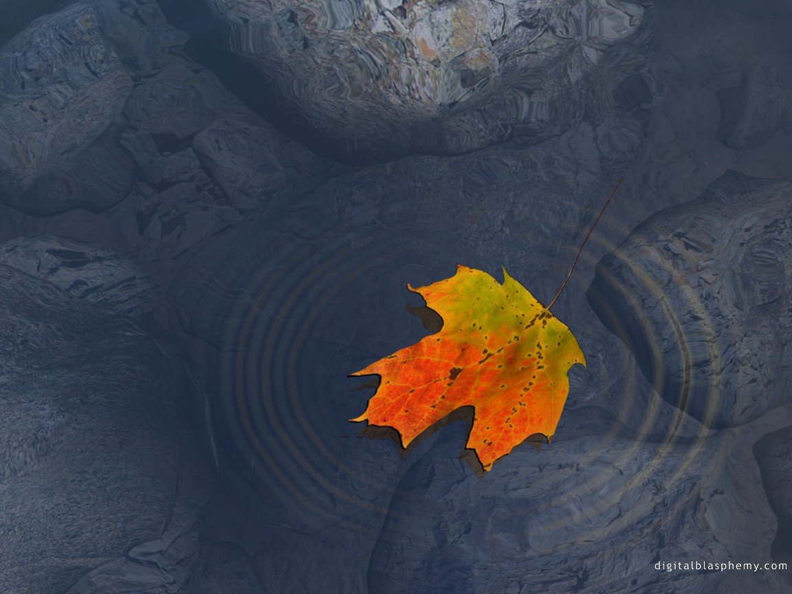 3d Art 73
