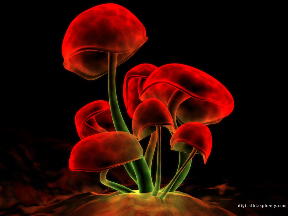 3d Art 74