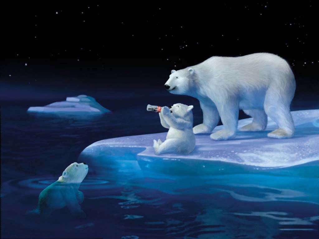 Bear Drink A Coca Colla