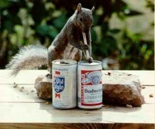 Bud