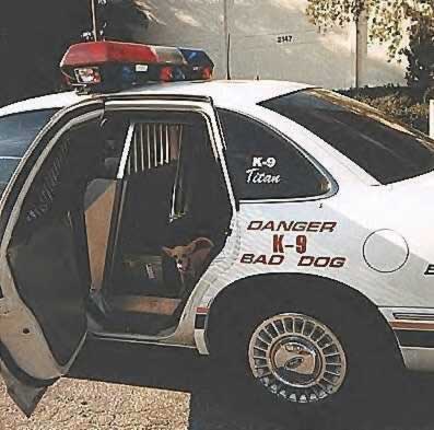 Cops K9