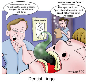 Dentist Lingo