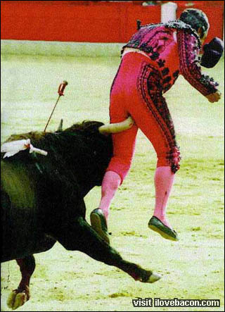 Dont Play With Bulls
