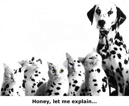 Honey Let Me Explain