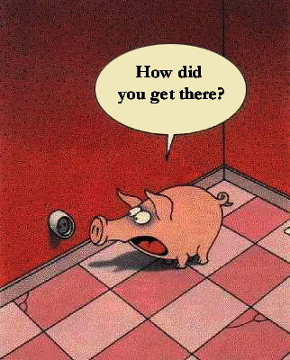 How Did You Get There