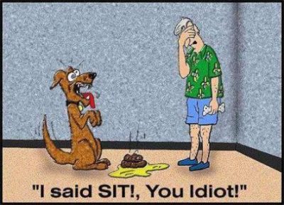 I Said Sit