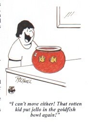 Jello In Goldfish Bowl