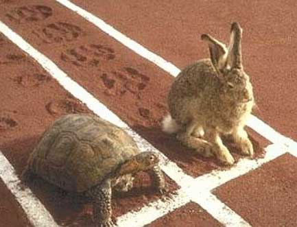 Lets Race