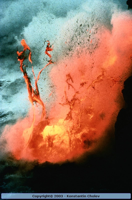 Nature Force Pic  1