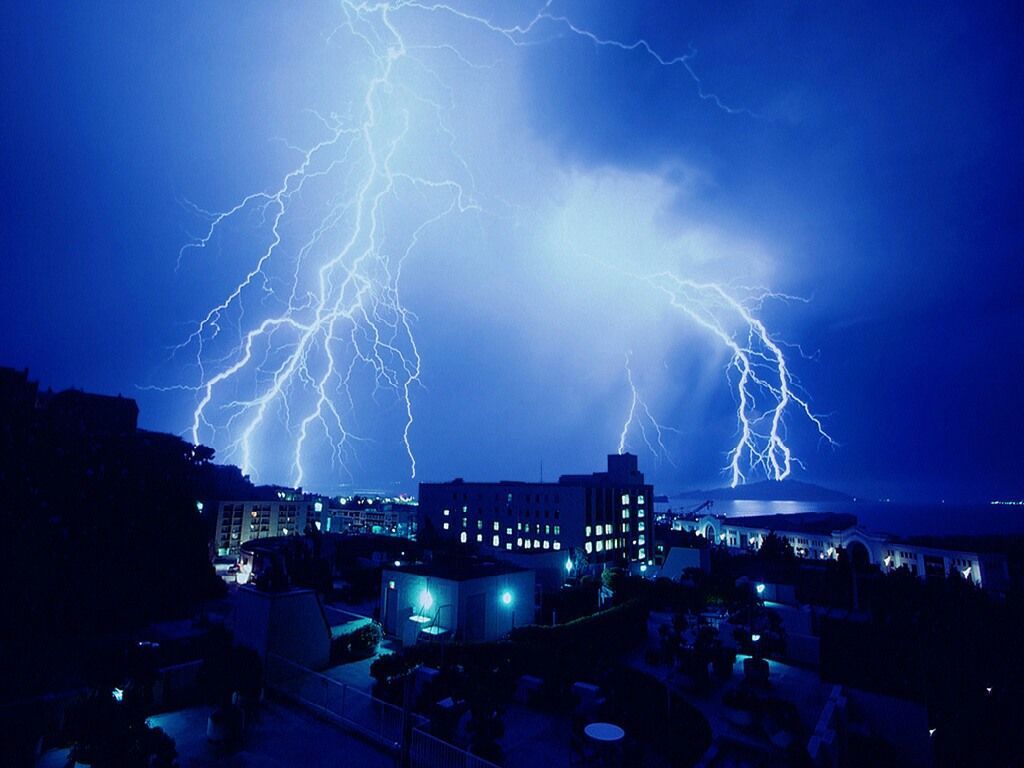 Nature Force Pic  10
