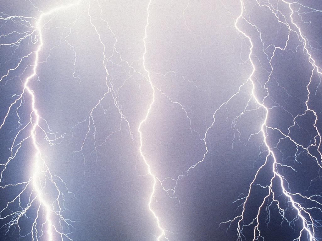Nature Force Pic  100