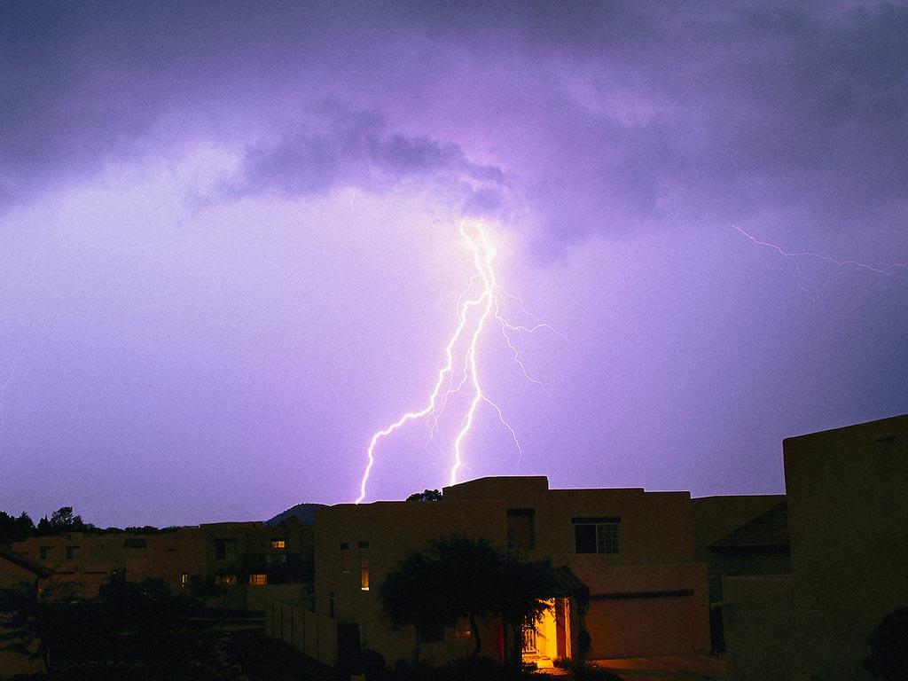 Nature Force Pic  101