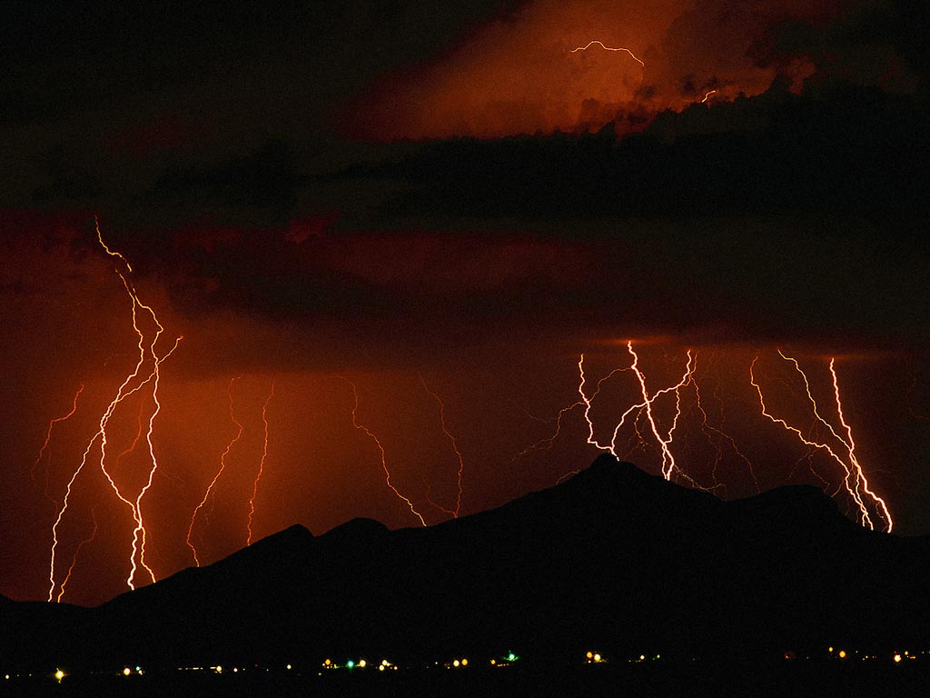 Nature Force Pic  102