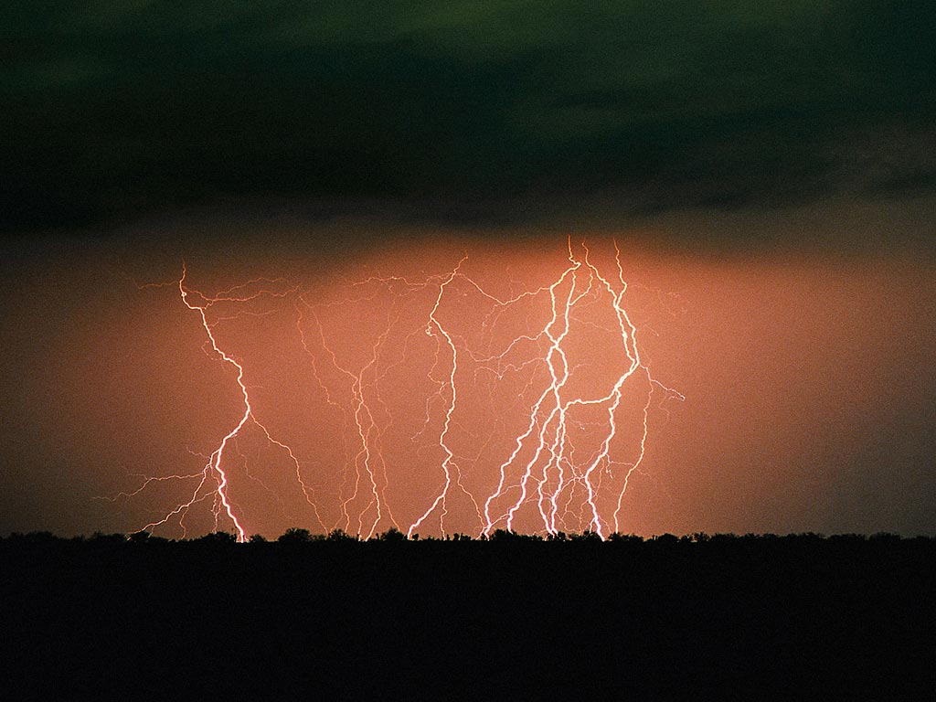 Nature Force Pic  104