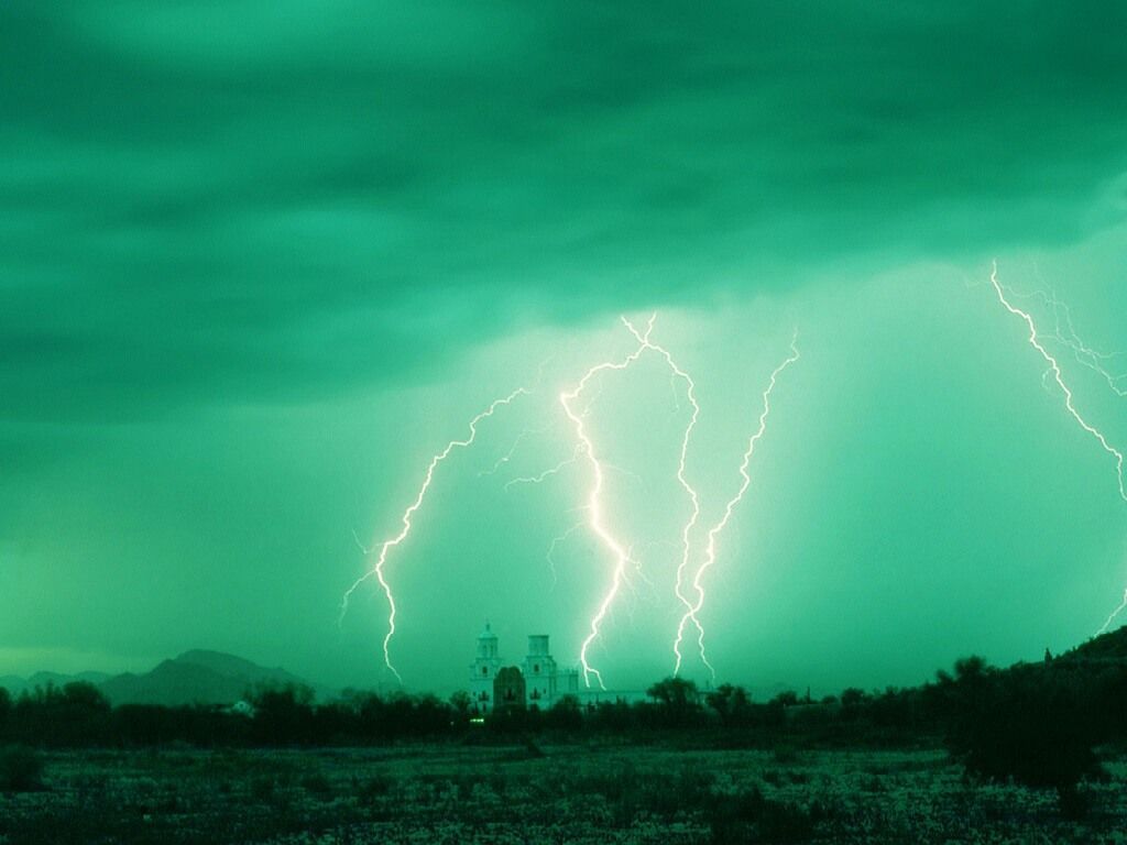 Nature Force Pic  11