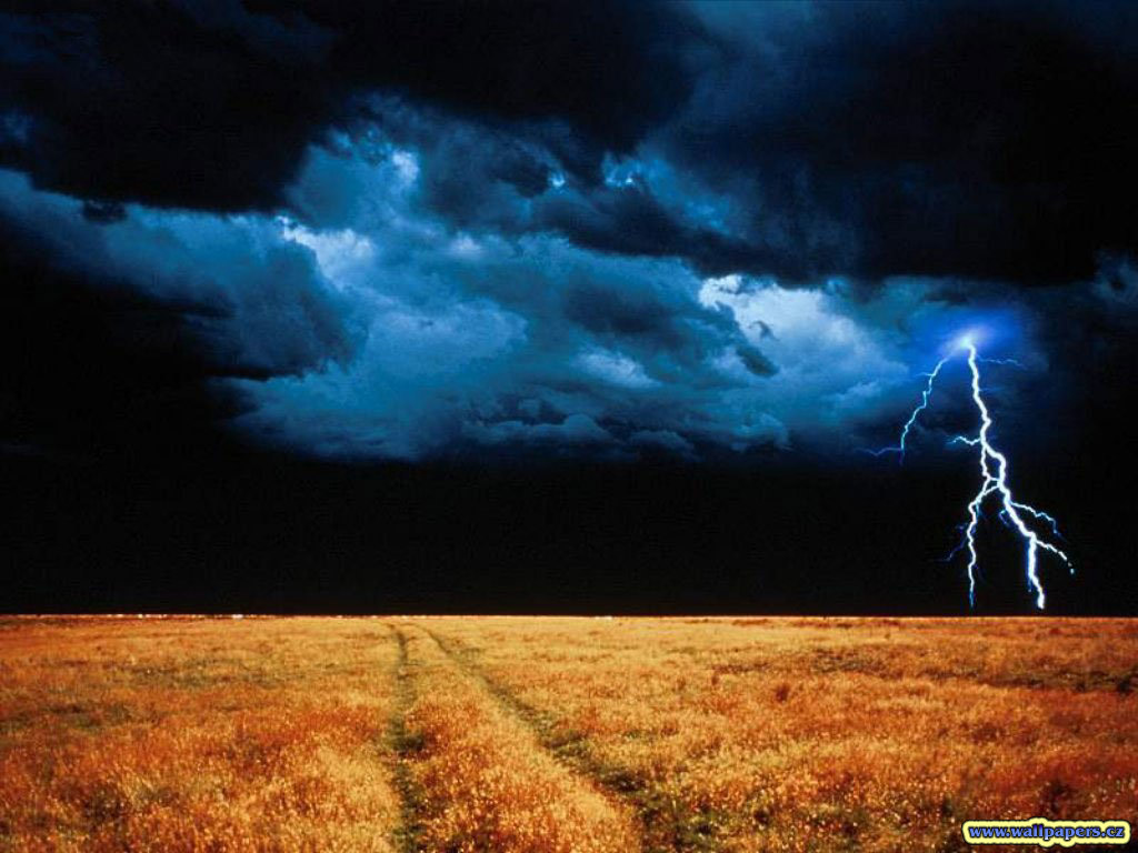 Nature Force Pic  113