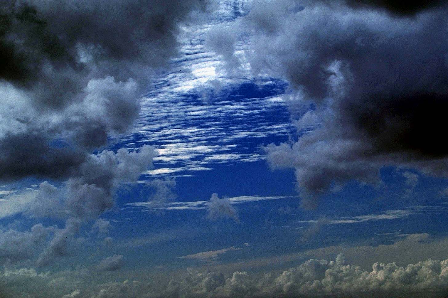 Nature Force Pic  114