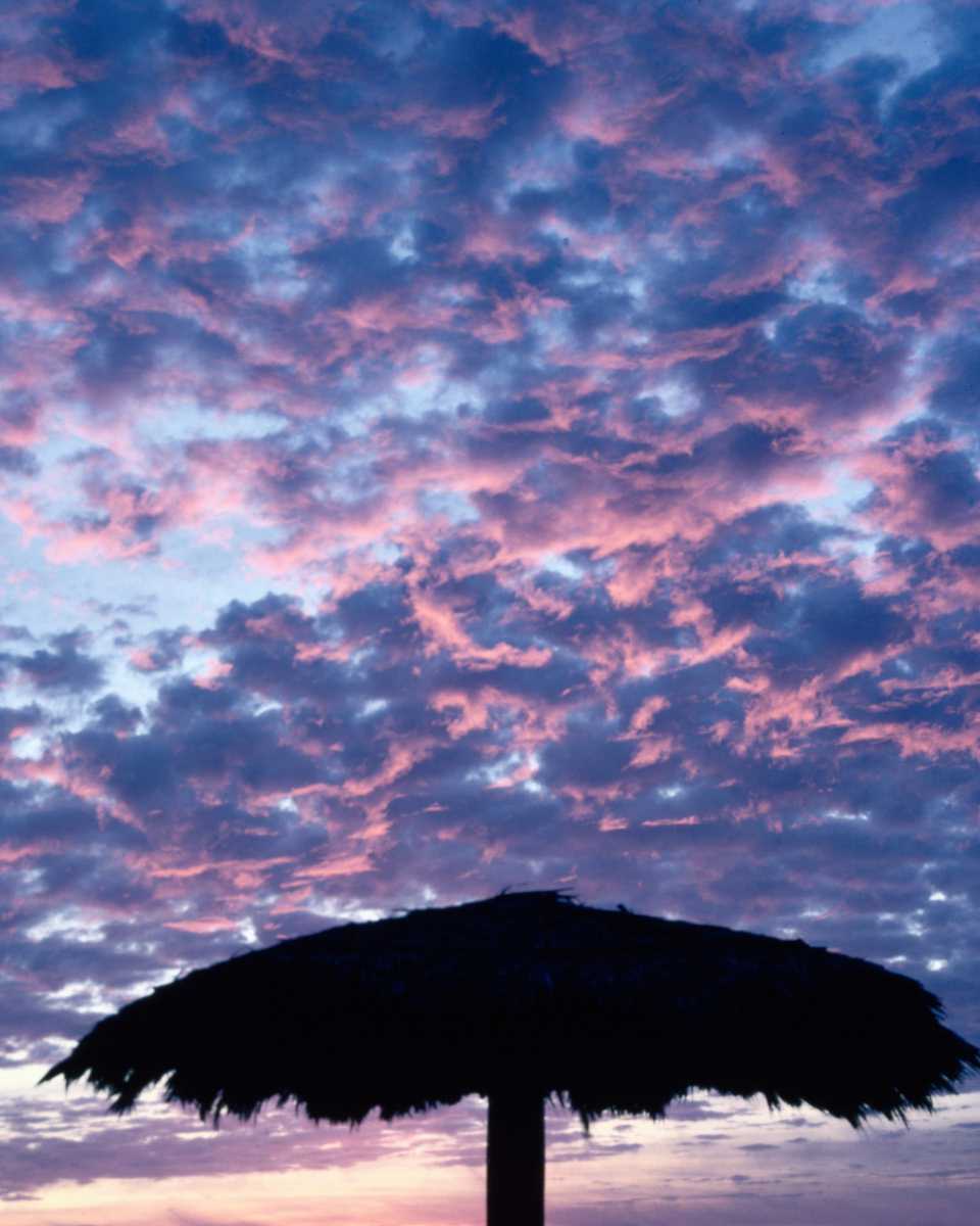 Nature Force Pic  116