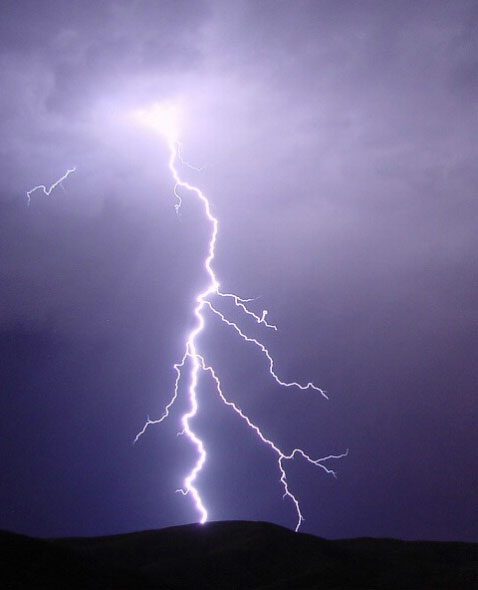 Nature Force Pic  118