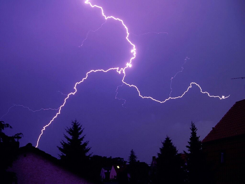Nature Force Pic  13