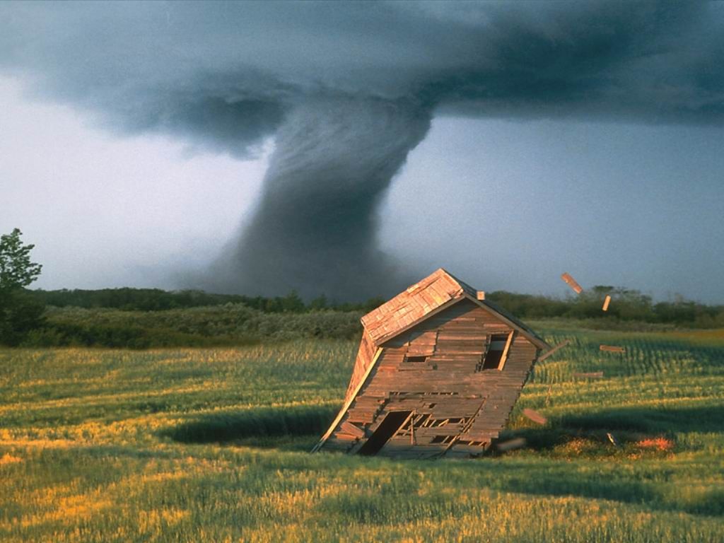 Nature Force Pic  14
