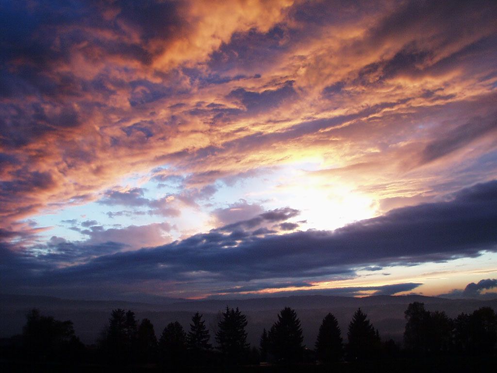 Nature Force Pic  15