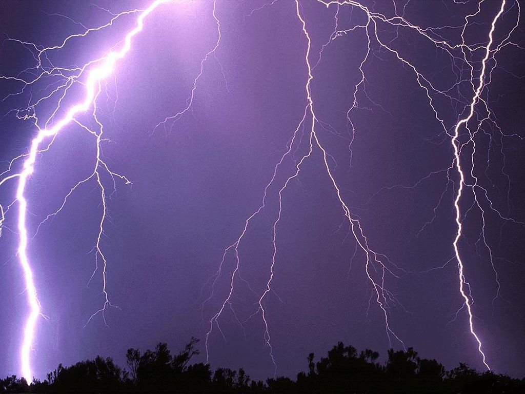 Nature Force Pic  16