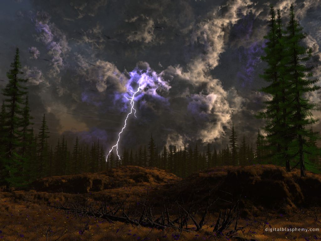 Nature Force Pic  18