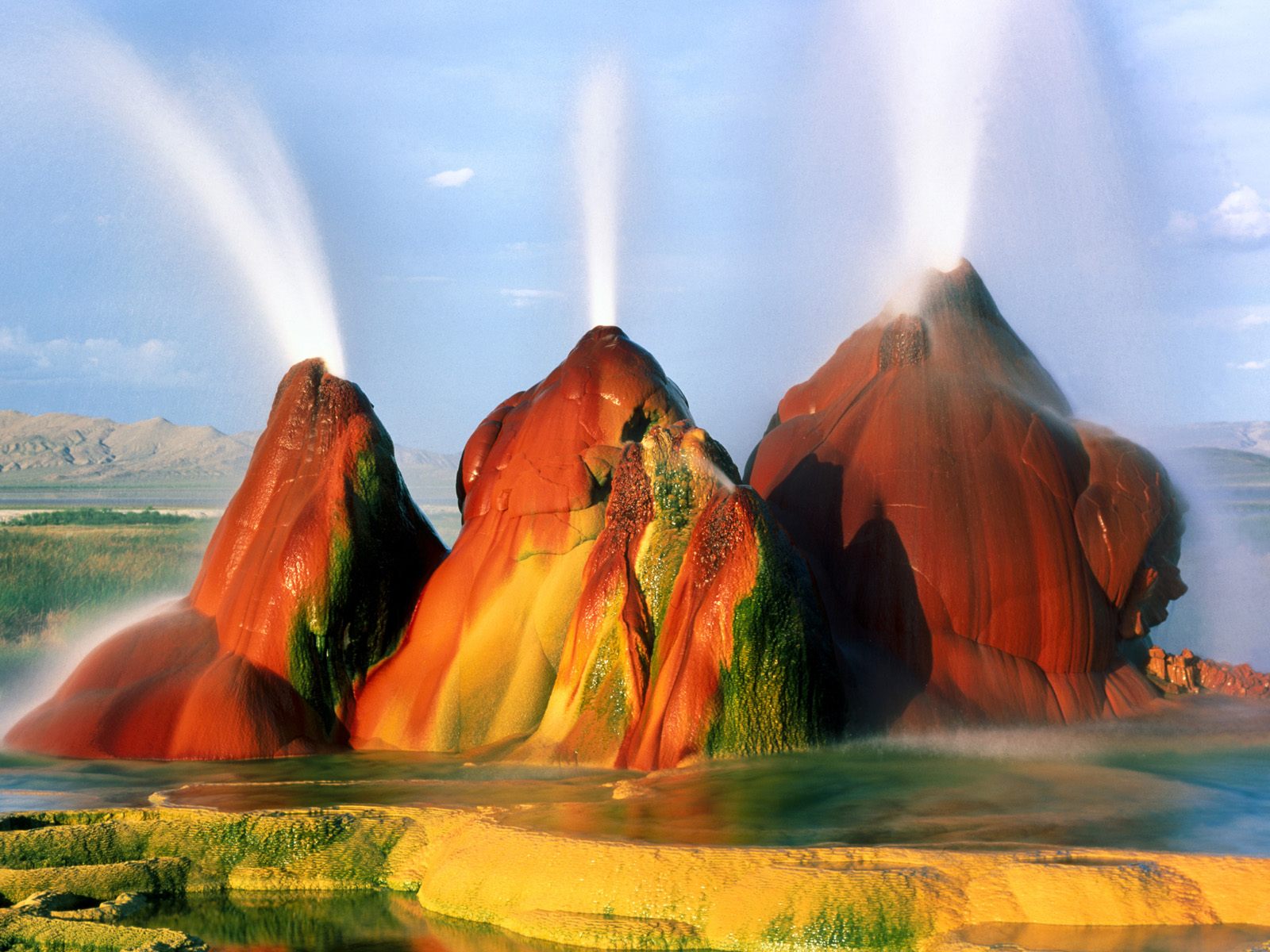 Nature Force Pic  21
