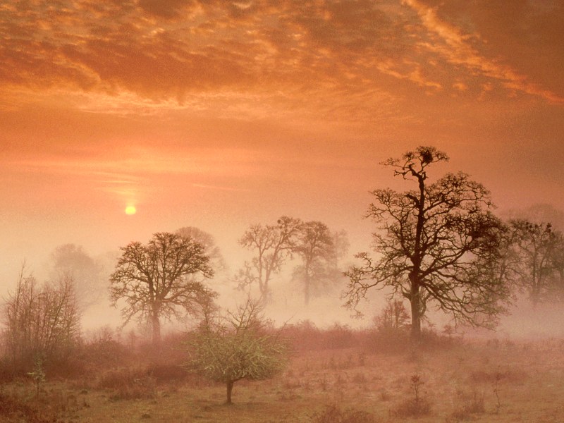 Nature Force Pic  22