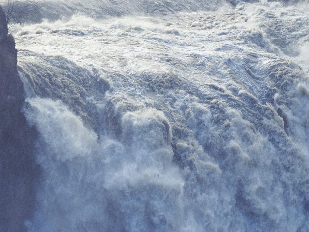Nature Force Pic  32