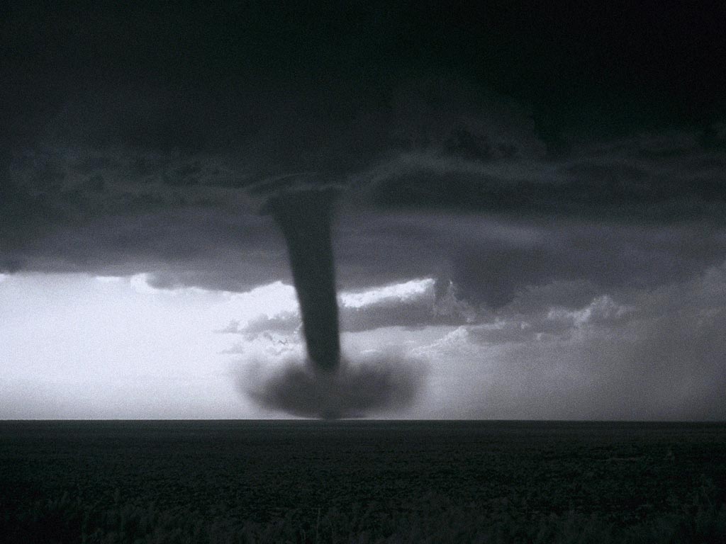 Nature Force Pic  36