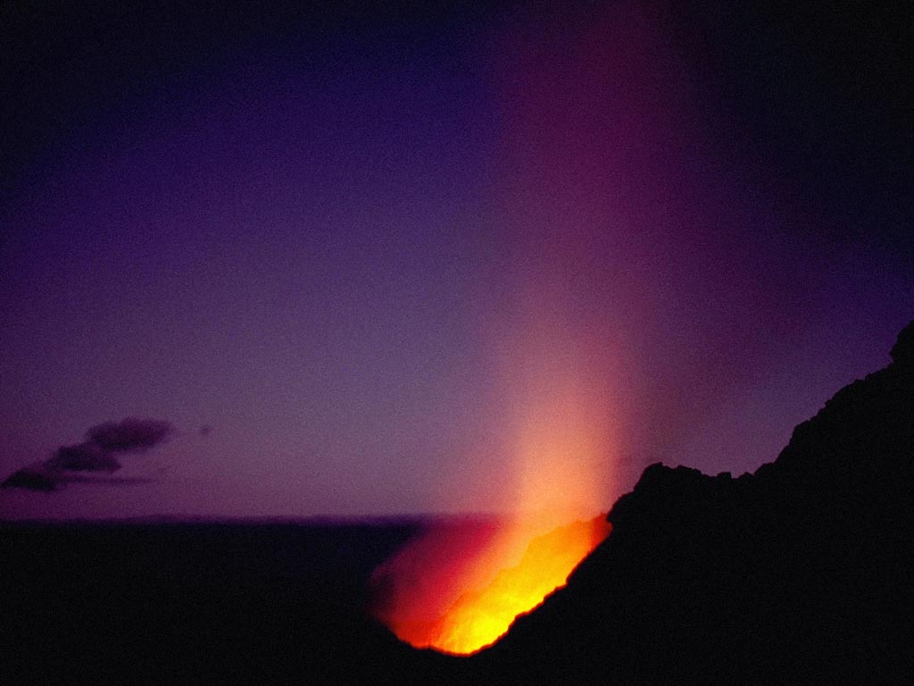 Nature Force Pic  37