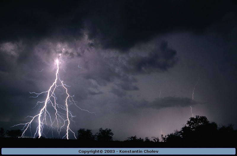 Nature Force Pic  4