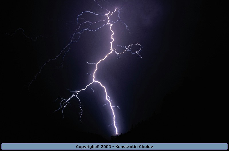 Nature Force Pic  5