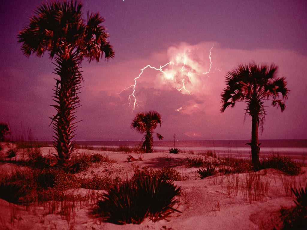 Nature Force Pic  53