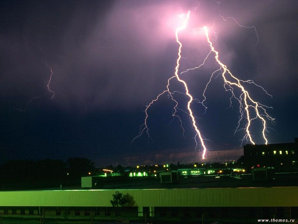 Nature Force Pic  6