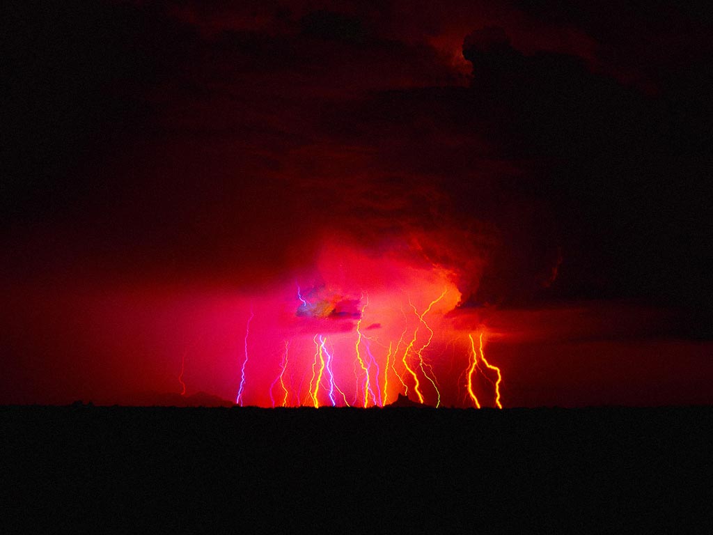 Nature Force Pic  60