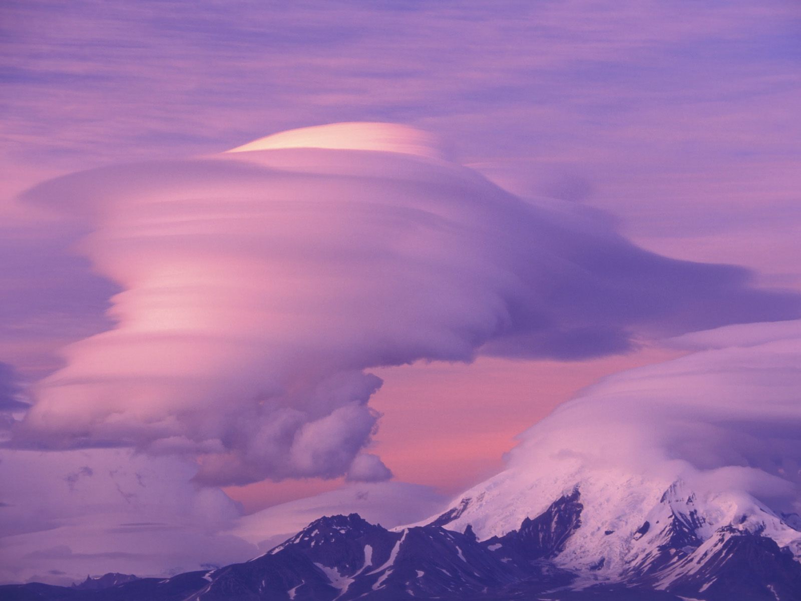 Nature Force Pic  62