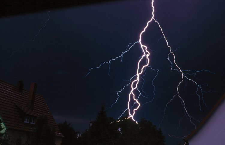 Nature Force Pic  63