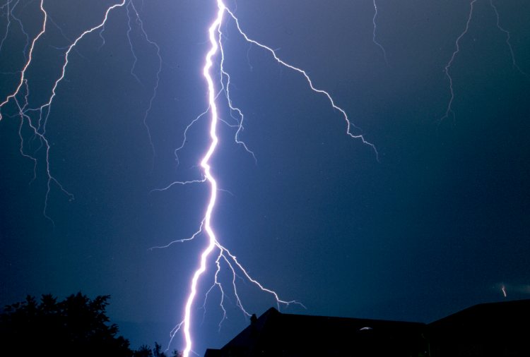 Nature Force Pic  64