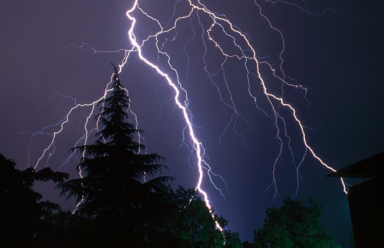 Nature Force Pic  65