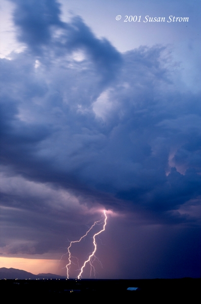 Nature Force Pic  67