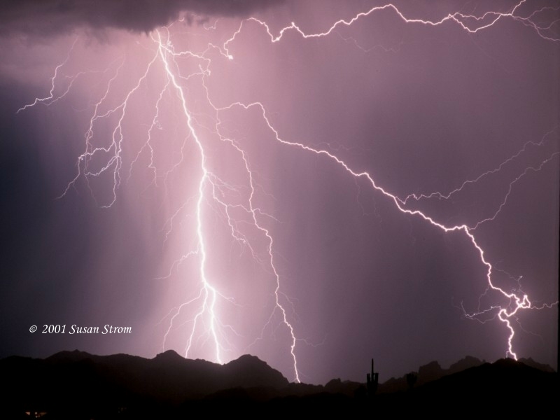 Nature Force Pic  68
