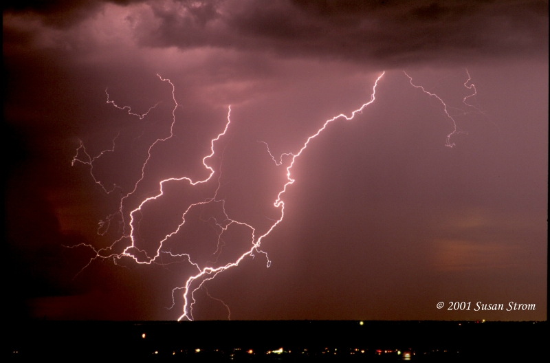 Nature Force Pic  69