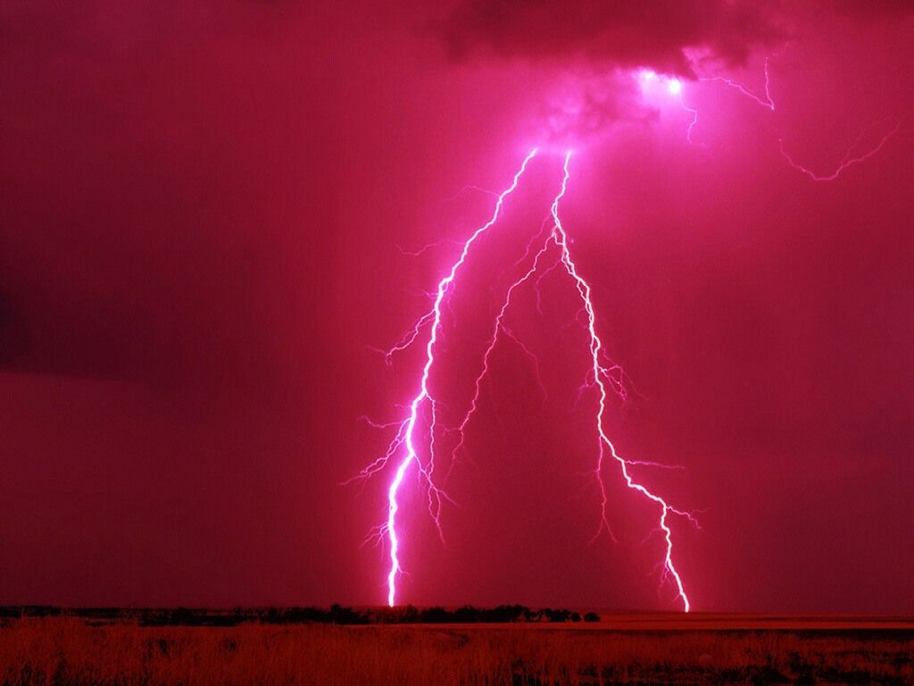 Nature Force Pic  7